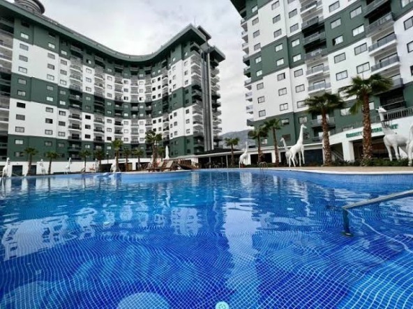 IMG-20240213-WA0164(1)