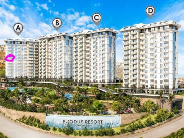 WhatsApp Image 2024-06-28 at 17.05.23 (1)