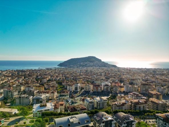 WhatsApp Image 2025-02-12 at 14.19.41 (1)