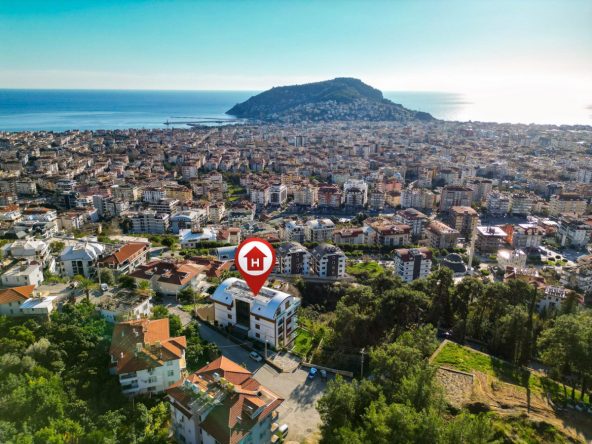 WhatsApp Image 2025-02-12 at 14.19.42