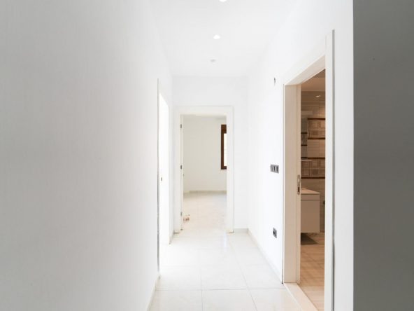 WhatsApp Image 2025-02-12 at 14.19.46