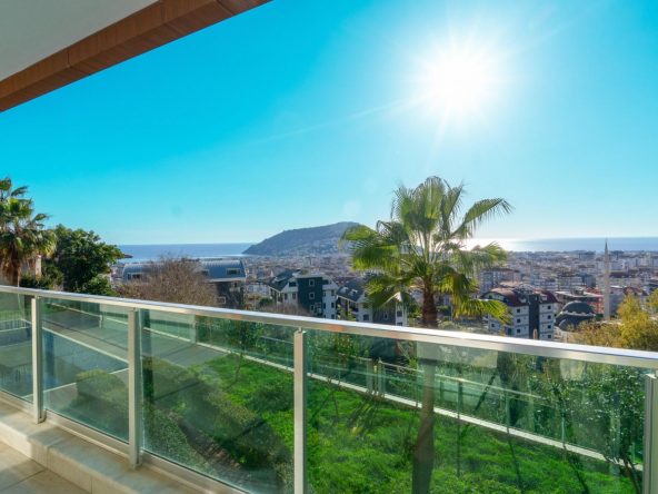 WhatsApp Image 2025-02-12 at 14.19.49 (2)