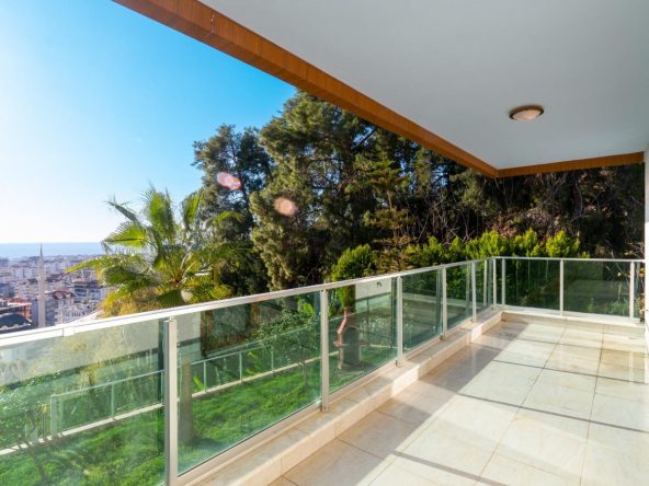 WhatsApp Image 2025-02-12 at 14.19.50 (1)