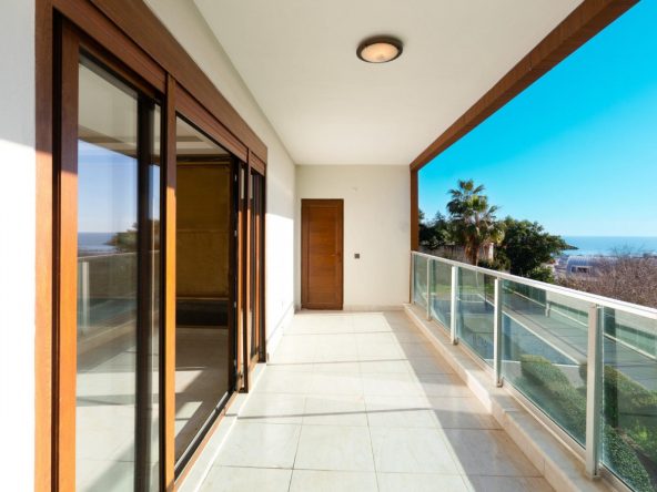 WhatsApp Image 2025-02-12 at 14.19.50