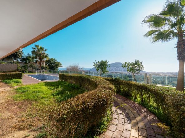 WhatsApp Image 2025-02-12 at 14.19.52