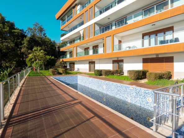 WhatsApp Image 2025-02-12 at 14.19.53 (2)