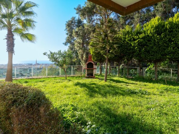 WhatsApp Image 2025-02-12 at 14.19.53