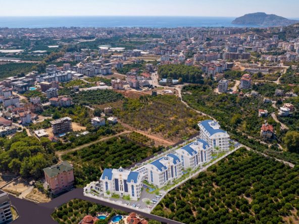 PHOTO-2025-06-03-22-42-40(3)