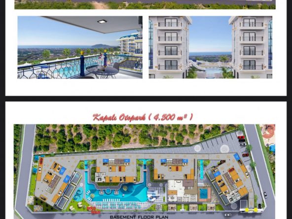 PHOTO-2025-06-03-22-42-42(4)