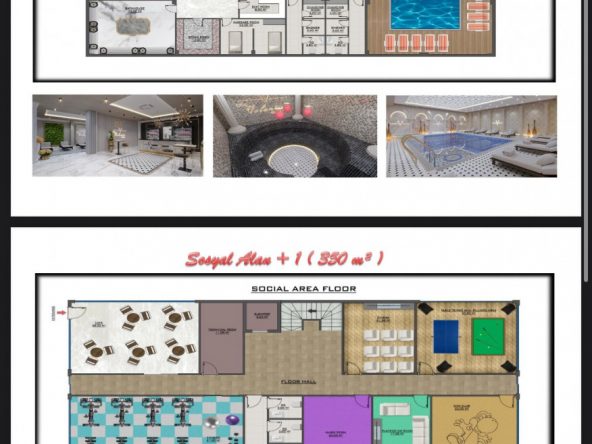 PHOTO-2025-06-03-22-42-42(7)